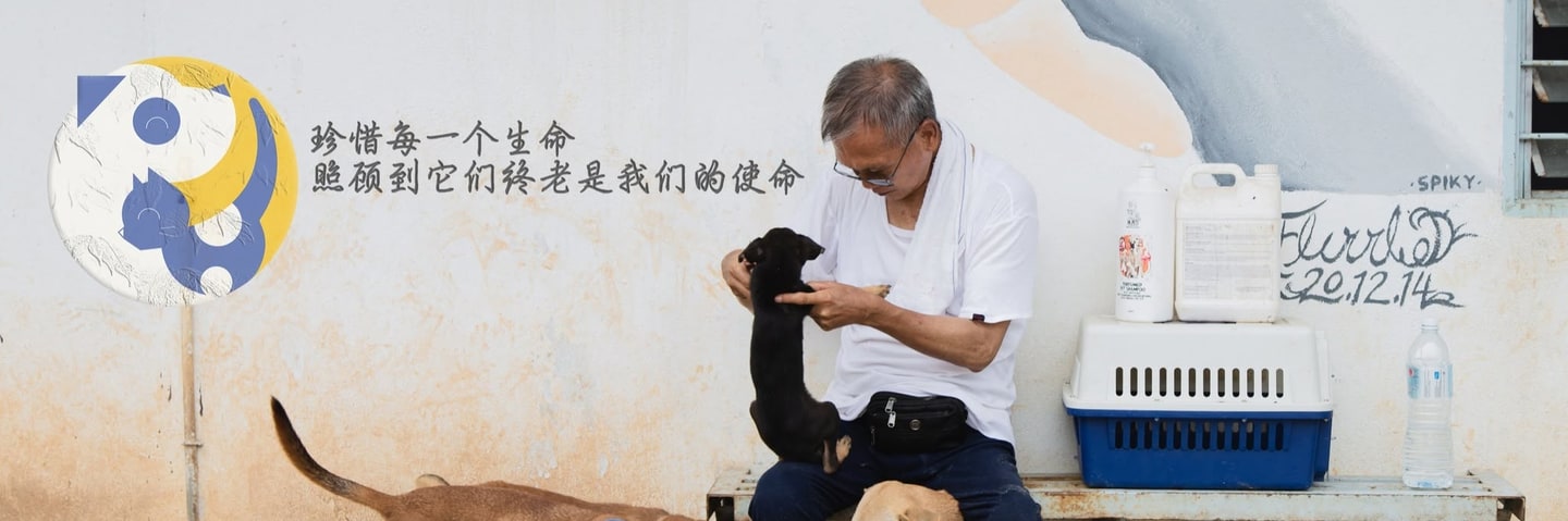 Homesland Animal Shelter | 家园收容所