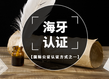 海牙认证与领事认证2026最新对比与选择指南