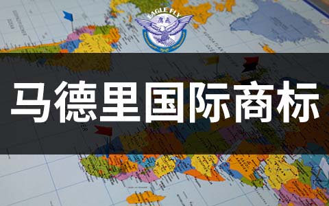 一标多国！2026马德里商标注册全流程与费用解析